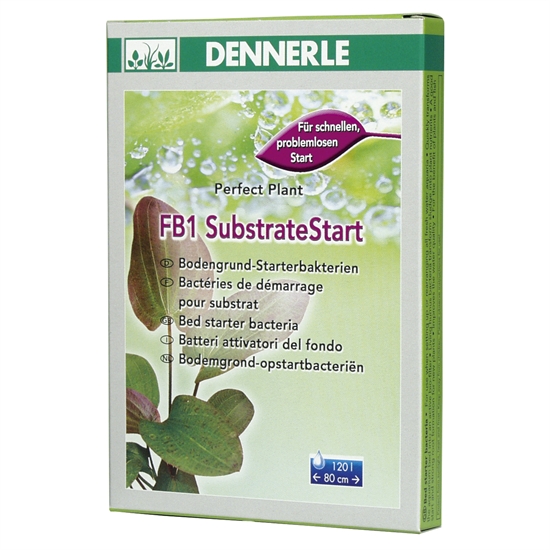 FB1 50g DENNERLE